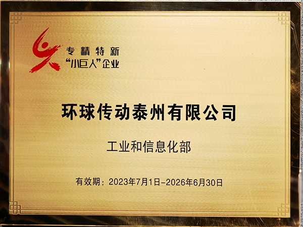 专精特新“小巨人”企业1